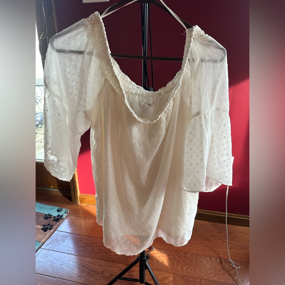 Large Maurice’s transparent sleeves
